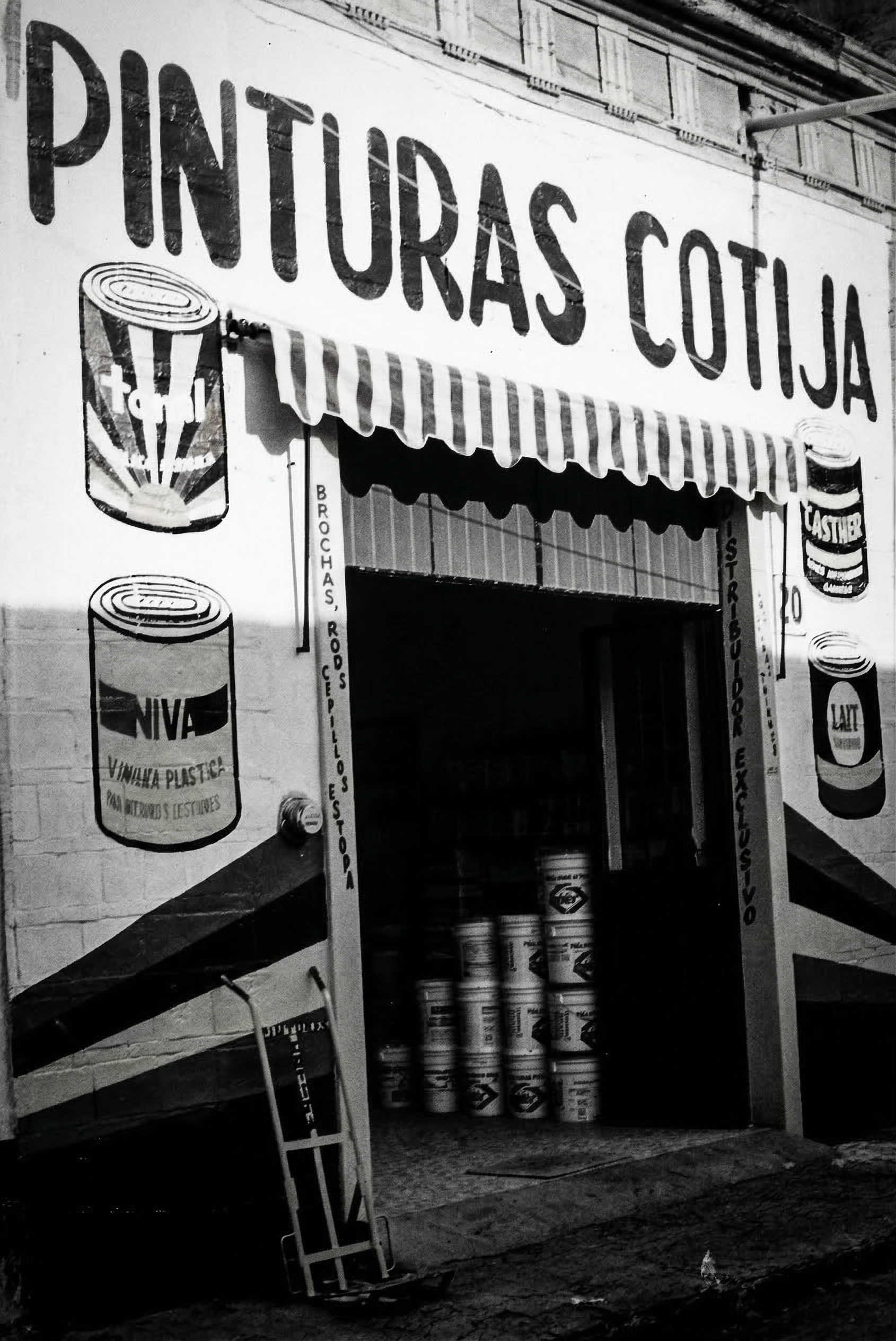 Pintores profesionales Casther en obra